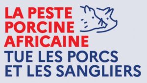 Progression de la peste porcine africaine en Italie à seulement 55 km de la frontière française